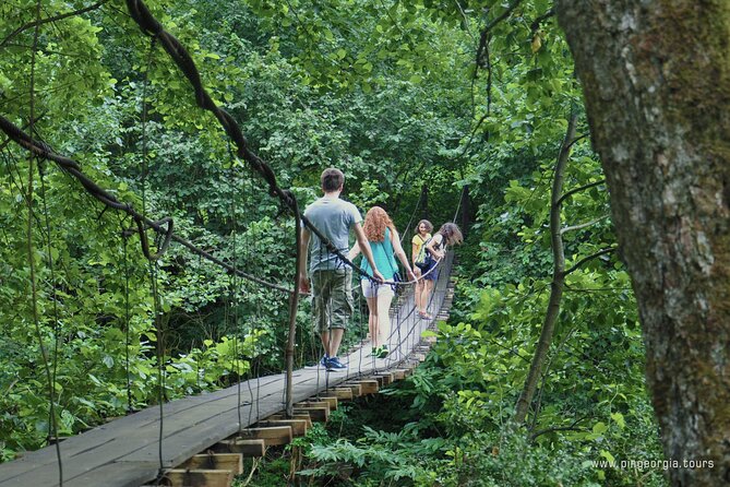 Private Hiking Tour to Mtirala National Park from Batumi - Transport, trekking poles, and what the price covers