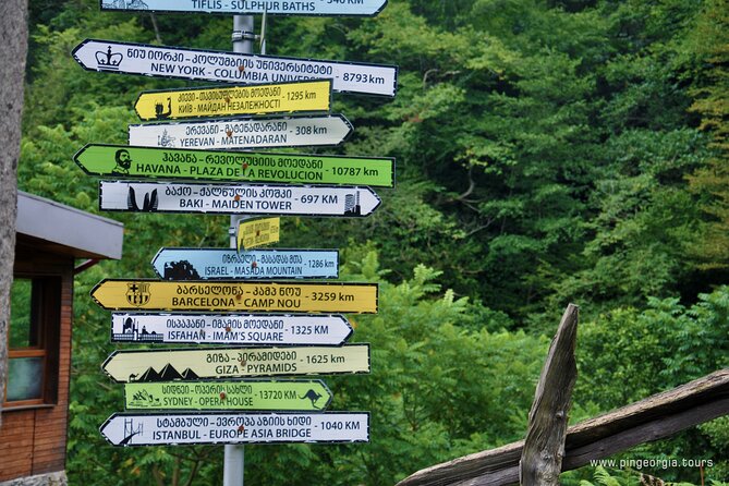 Private Hiking Tour to Mtirala National Park from Batumi - How this compares with a self-guided visit