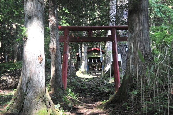 Private Hiking Tour to View Mt. Fuji - Yoshida udon after the climb