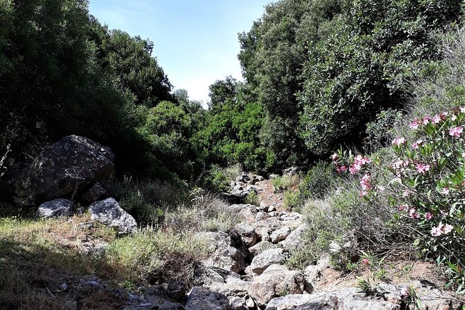 PRIVATE Hiking Walking GORGE nearby Hersonissos CRETE - Leaving the resorts for Aposelemis