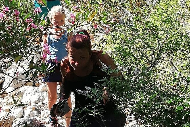 PRIVATE Hiking Walking GORGE nearby Hersonissos CRETE - Pickup details that can affect the cost