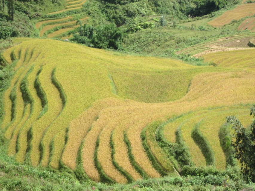 Private Hoang Lien National Park & Tribal Village Trek - The private-car return to Sa Pa