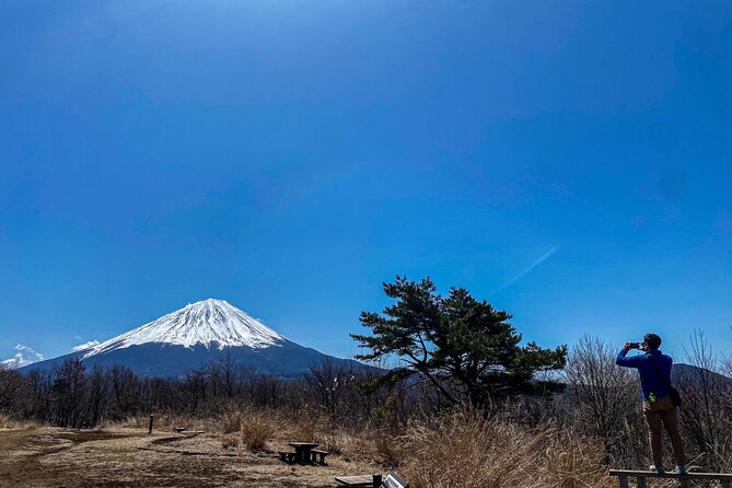 Private Local Hiking to enjoy the nature and culture of Mt.Fuji - Matcha in the garden at Kaneyamaen