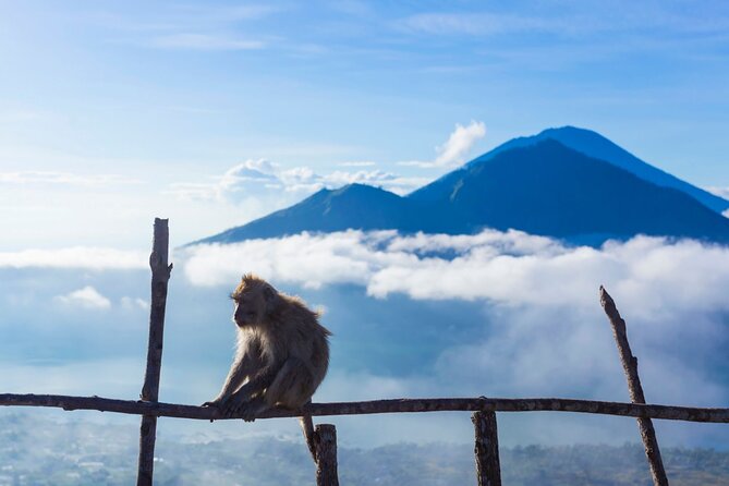 Private Mount Batur Sunrise Trekking Tour - Breakfast cooked by volcanic steam