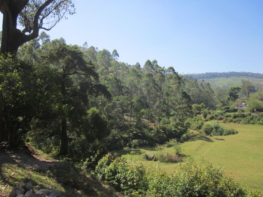 Private Munnar Tea Trek - Climbing toward Lakshmi Hills