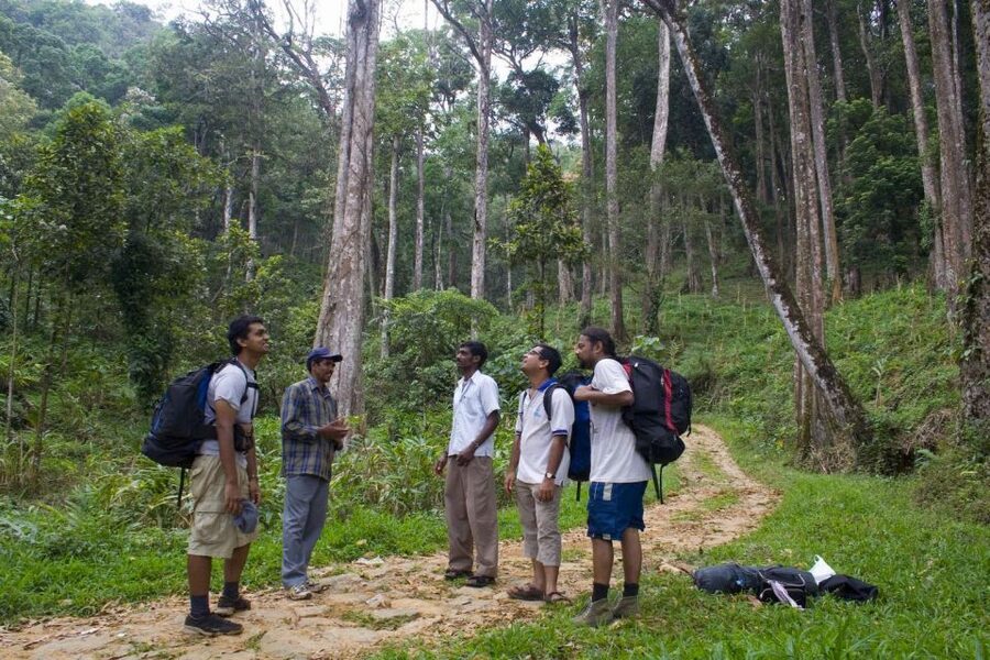 Private Munnar Tea Trek - Who should book this trek?
