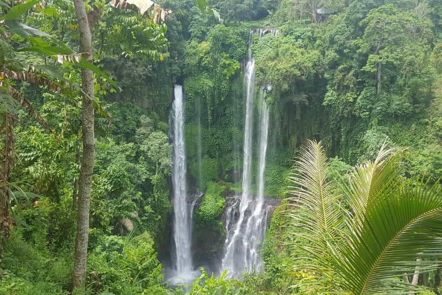Private Sekumpul Waterfall Hiking Tour - Why Sekumpul is worth the long climb