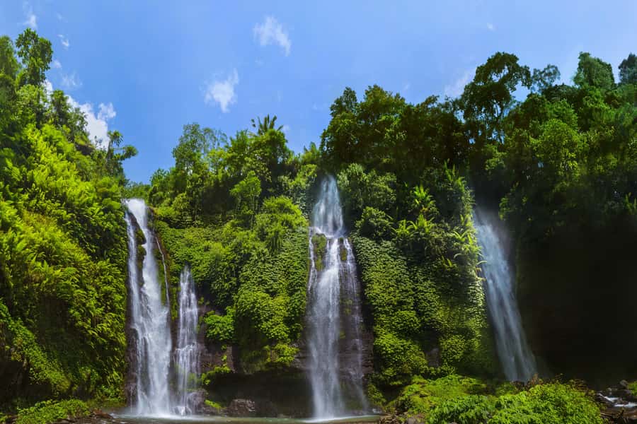 Private Sekumpul Waterfall Hiking Tour - The coffee plantation and kopi luwak stop