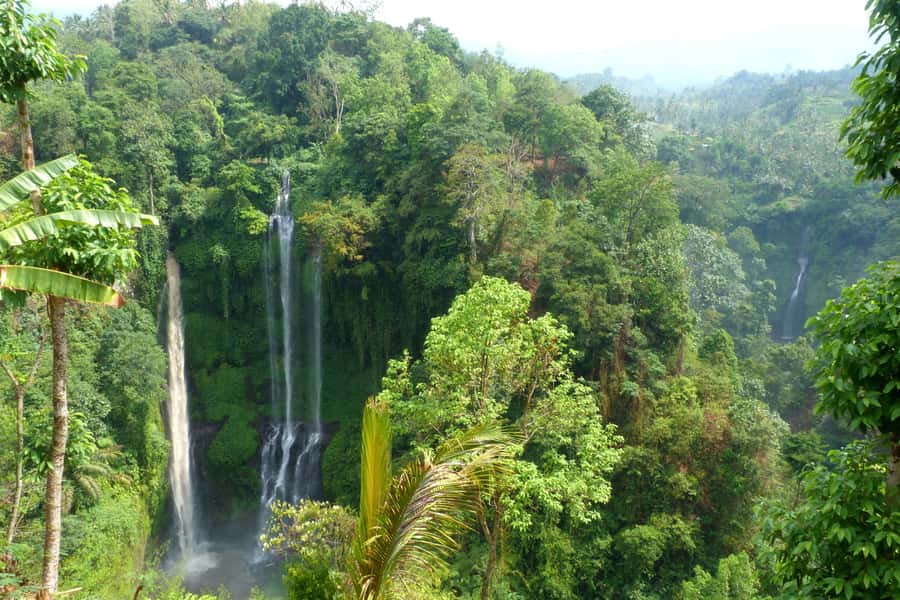 Private Sekumpul Waterfall Hiking Tour - Fiji Falls and the local lunch break