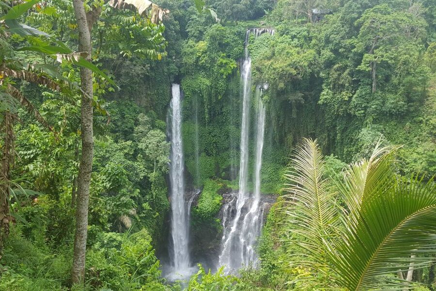 Private Sekumpul Waterfall Hiking Tour - How much value do you get for $58?