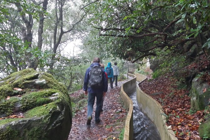 Private Sunrise Guided hike on Pico do Areeiro or other custom - How the itinerary works when there are no fixed stops