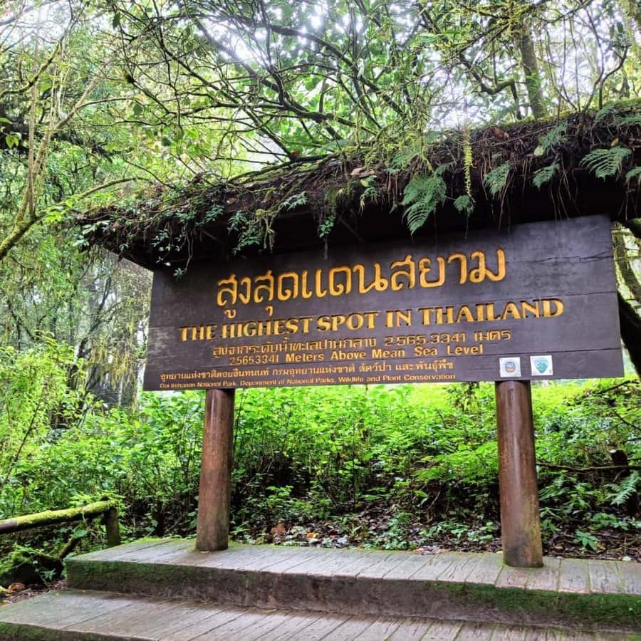 Private Tour Doi Inthanon, Trekking Kew Mae Pan Nature Trail - Why Doi Inthanon makes a worthwhile day from Chiang Mai