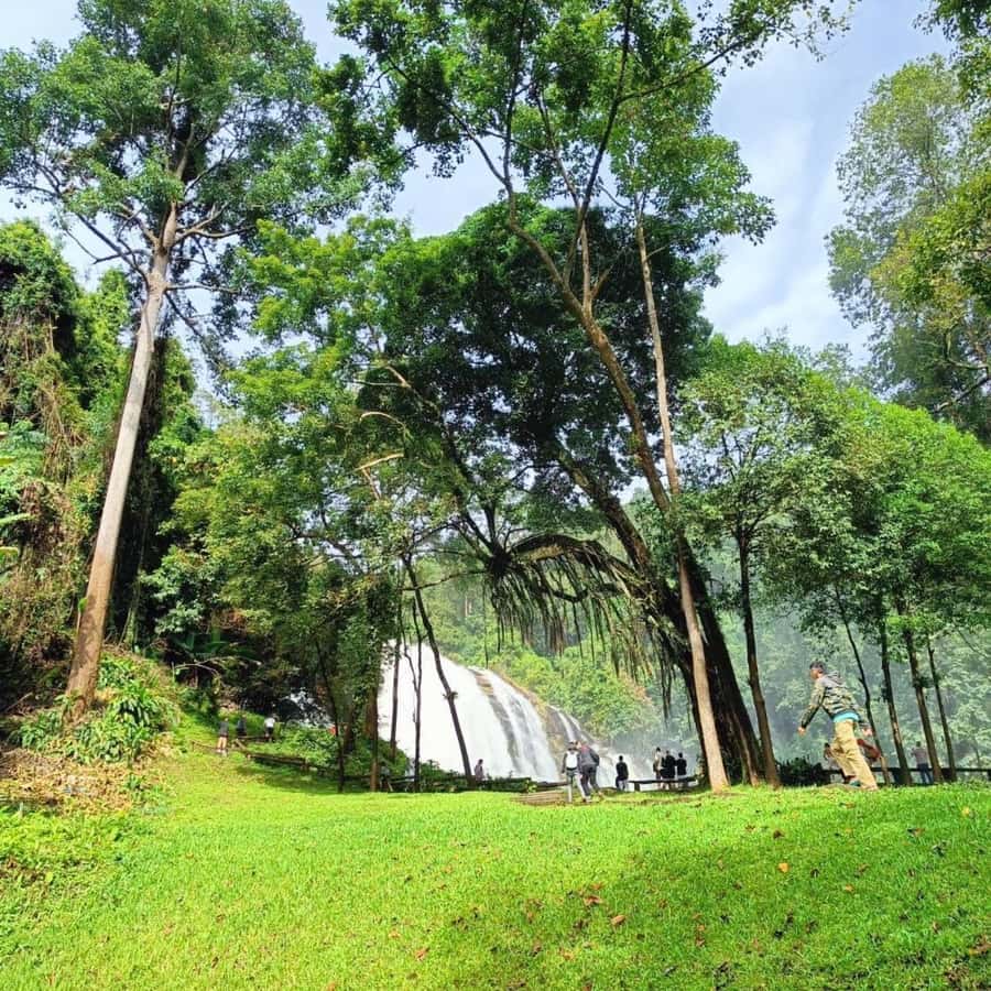 Private Tour Doi Inthanon, Trekking Kew Mae Pan Nature Trail - The King and Queen’s pagodas and their mountain gardens