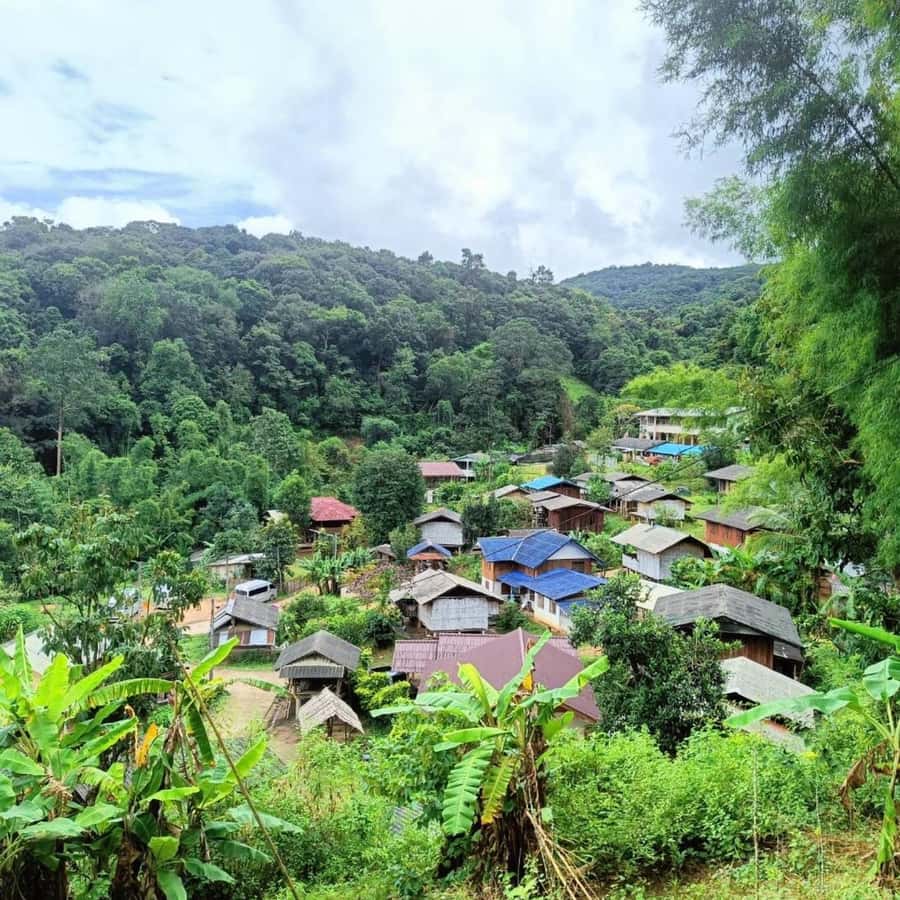 Private Tour Doi Inthanon, Trekking Kew Mae Pan Nature Trail - Kew Mae Pan: the day’s real outdoor challenge