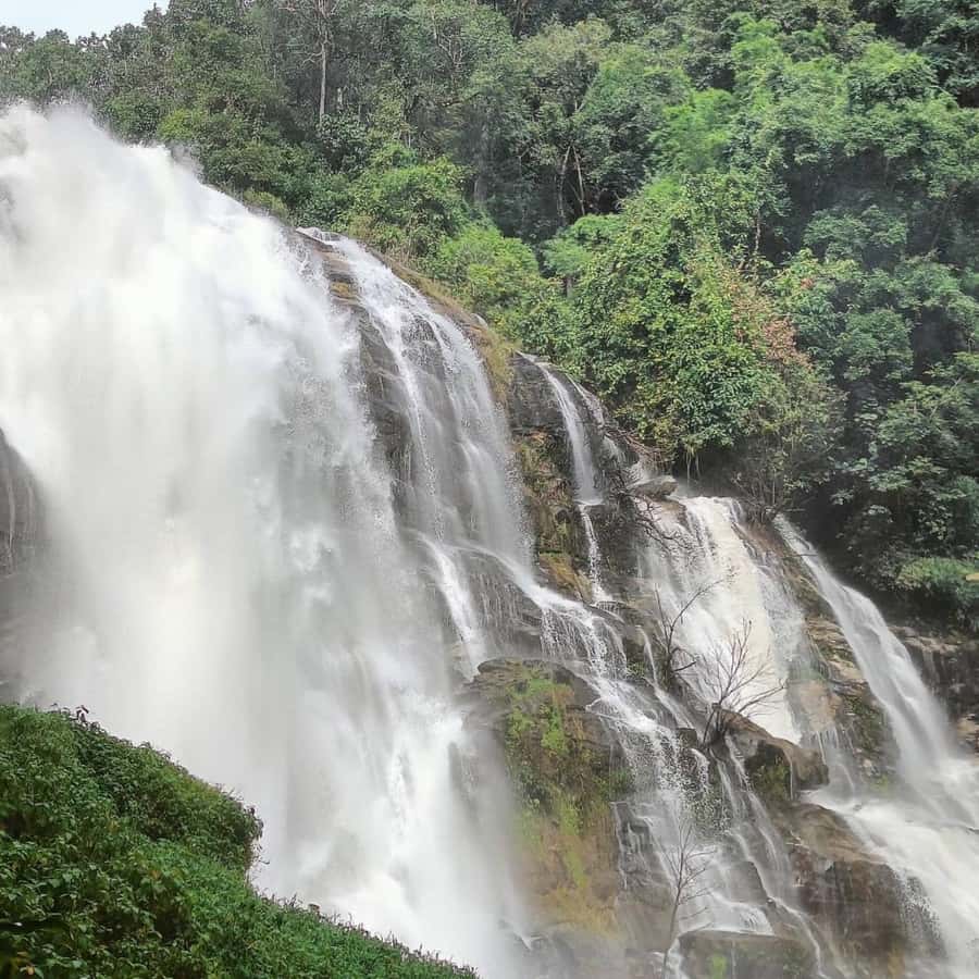 Private Tour Doi Inthanon, Trekking Kew Mae Pan Nature Trail - Reaching Thailand’s highest point at 2,565 meters