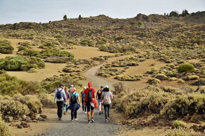 PRIVATE TOUR Teide National Park: Hiking and Stargazing - A mountain viewpoint for wine and sunset