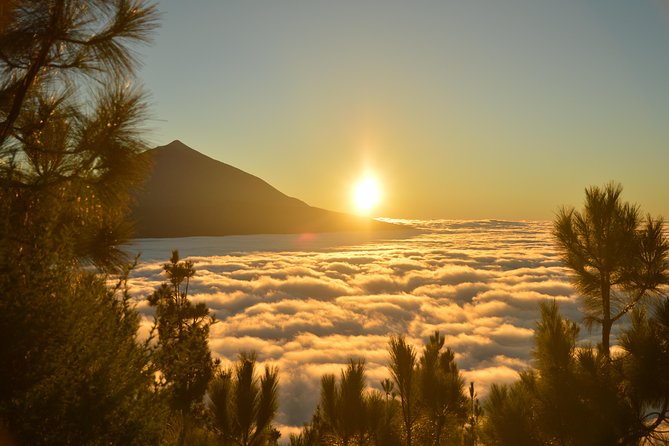 PRIVATE TOUR Teide National Park: Hiking and Stargazing - What the $239.65 price means