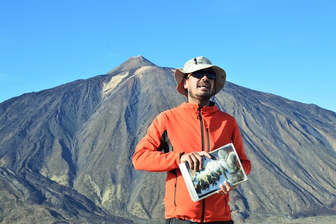 PRIVATE TOUR Teide National Park: Hiking and Stargazing - The pine forest and changing views