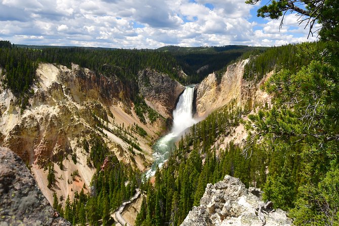 Private Yellowstone Tour: ICONIC Sites, Wildlife, Family Friendly Hikes + lunch - What the private format changes