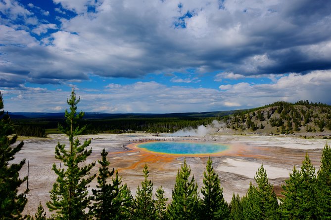 Private Yellowstone Tour: ICONIC Sites, Wildlife, Family Friendly Hikes + lunch - The Grand Canyon and Lower Falls