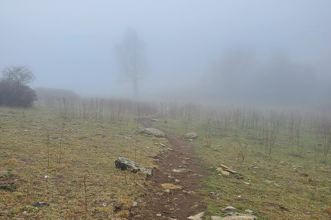 Privately Guided Full Day Hike - Waterfalls, high peaks, and the Blue Ridge Parkway
