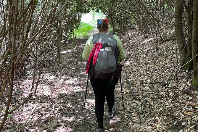 Privately Guided Full Day Hike - Booking details and cancellation terms