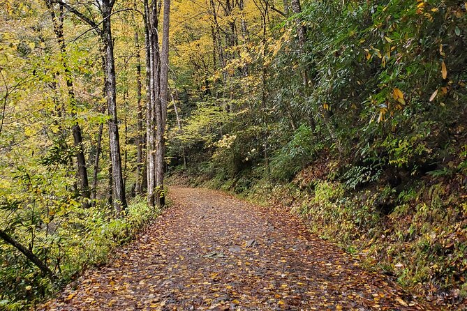 Privately Guided Full Day Hike - Pisgah National Forest and the quiet meditation stop
