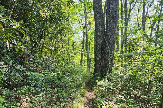 Privately Guided Half Day Hike - What the guides add to the walk