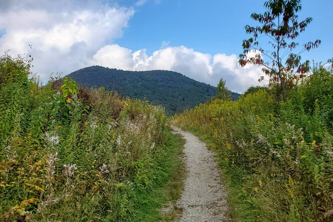 Privately Guided Half Day Hike - Booking, cancellation, and gratuity