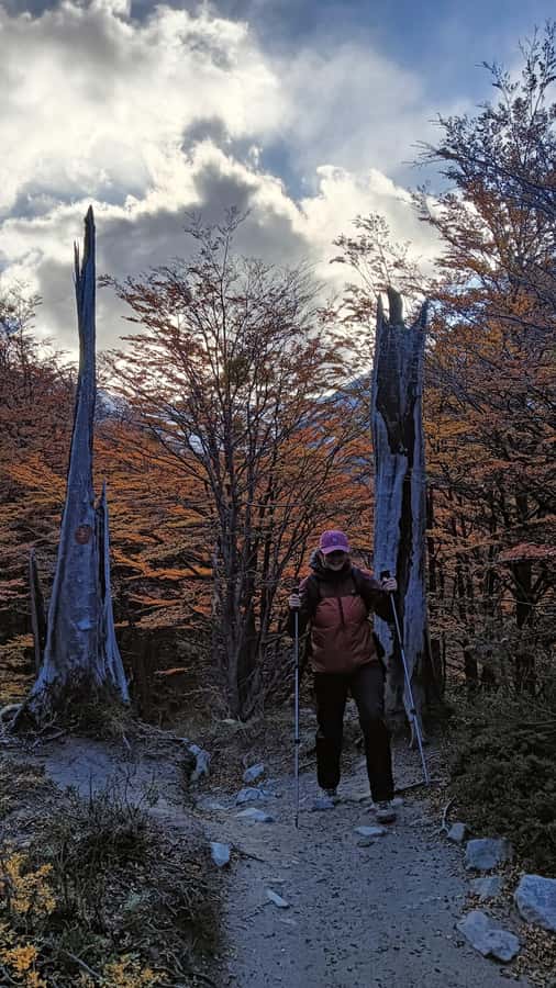 Puerto Natales: Base of the Towers Trekking Experience - El Chileno, the useful halfway base