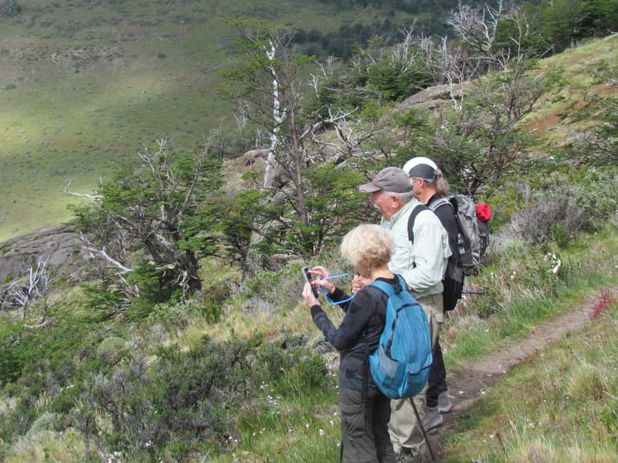 Puerto Natales: Cerro Benitez Half-Day Hike with Condors - Practical Tips for a Better Morning