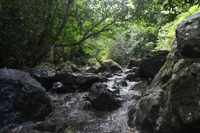 Puerto Rico Waterfall Hiking Tour: Discover Hidden Gems 2.0 - Leaving San Juan for the mountain country