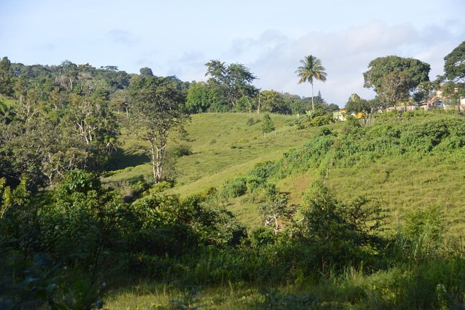 Puerto Rico Waterfall Hiking Tour: Discover Hidden Gems 2.0 - Reaching the 130-foot waterfall