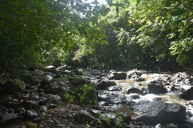 Puerto Rico Waterfall Hiking Tour: Discover Hidden Gems 2.0 - A local meal after the hike