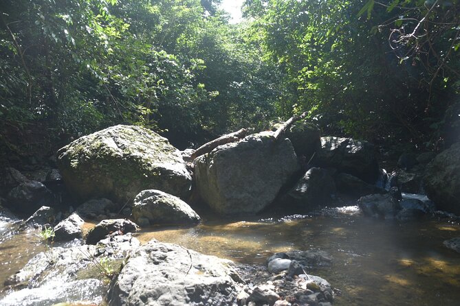 Puerto Rico Waterfall Hiking Tour: Discover Hidden Gems 2.0 - The guides shape the day