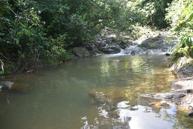 Puerto Rico Waterfall Hiking Tour: Discover Hidden Gems 2.0 - Who should book this hike