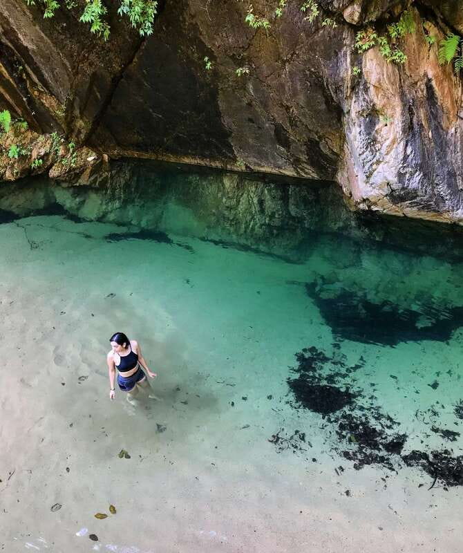 Puerto Vallarta: 4-Hour Jungle Hike and Waterfall Swim - At a glance: what makes this hike worth your morning