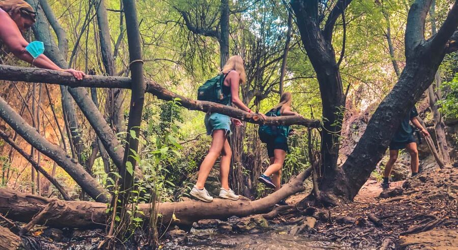 Punta Cana: Los Haitises Hike & Kayaking Mangroves - Key points at a glance