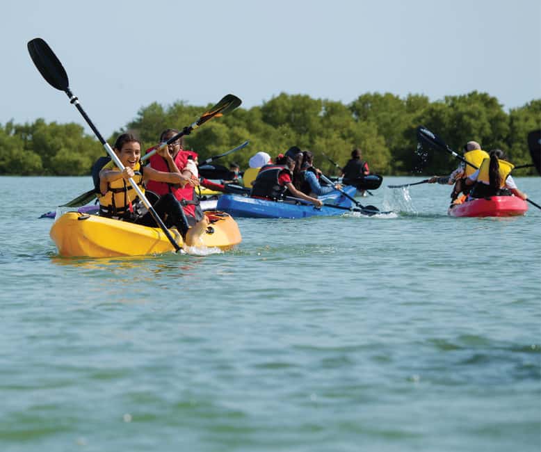 Punta Cana: Los Haitises Hike & Kayaking Mangroves - Why Los Haitises makes a strong day trip from Punta Cana