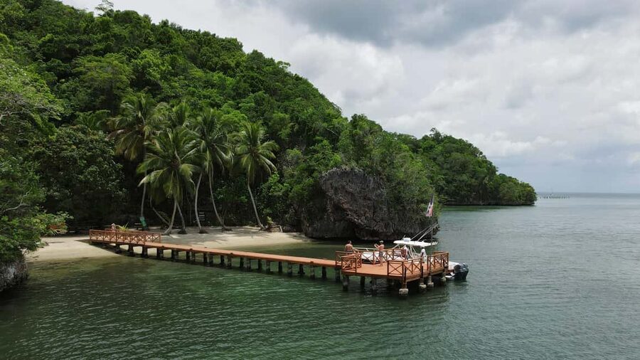 Punta Cana: Los Haitises Hike & Kayaking Mangroves - Walking the humid forest for about two hours