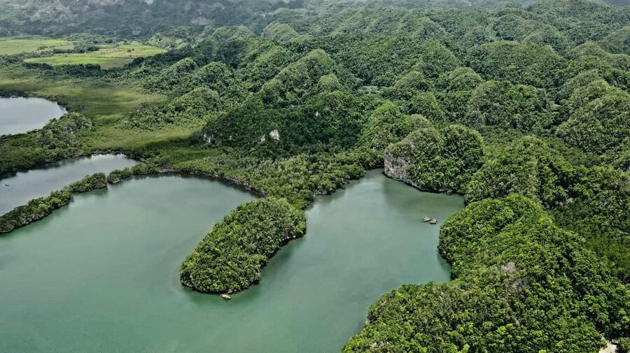 Punta Cana: Los Haitises Hike & Kayaking Mangroves - Is $135 a fair price?
