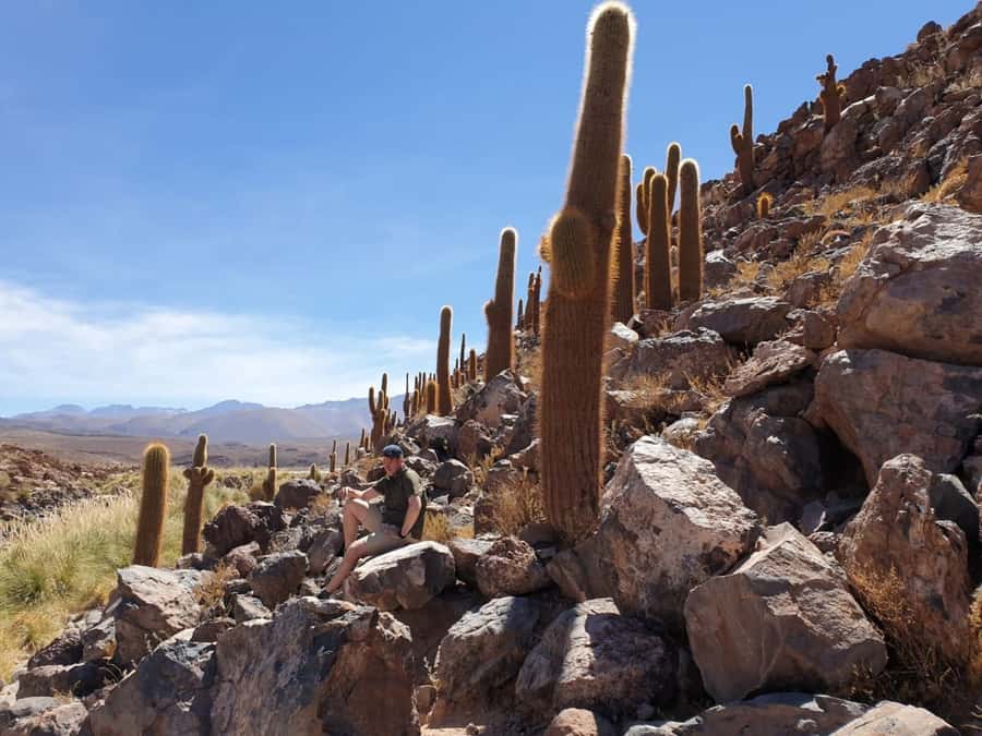 Purilibre Trekking - The ride north from San Pedro de Atacama