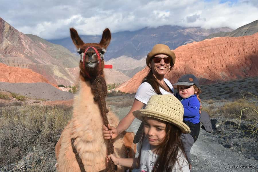 Purmamarca: Hiking with Llamas through multicolored mountains - Meeting the llamas 200 meters from Purmamarca’s square