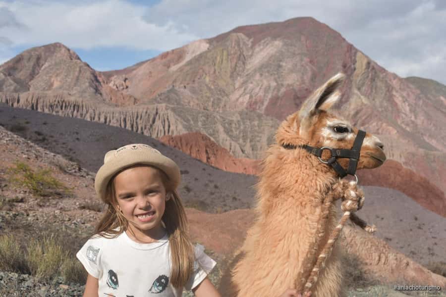 Purmamarca: Hiking with Llamas through multicolored mountains - Walking through Purmamarca’s red, orange, and yellow mountains