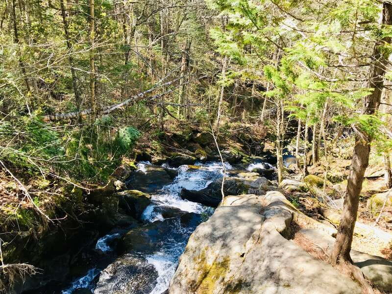 Quebec City: Guided Hike in Jacques-Cartier National Park - Weather, clothing, and the right level of fitness