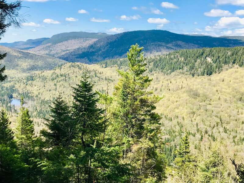 Quebec City: Guided Hike in Jacques-Cartier National Park - Who will enjoy this Quebec City day trip?