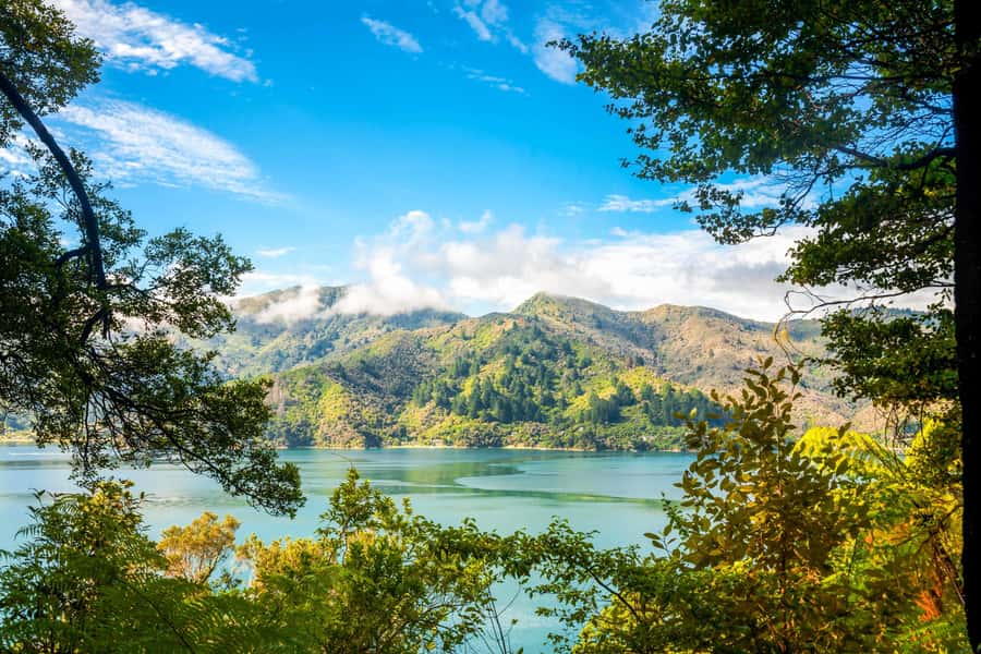 Queen Charlotte Track: Cruise & Self-Guided Hike from Picton - Leaving Picton for the Marlborough Sounds
