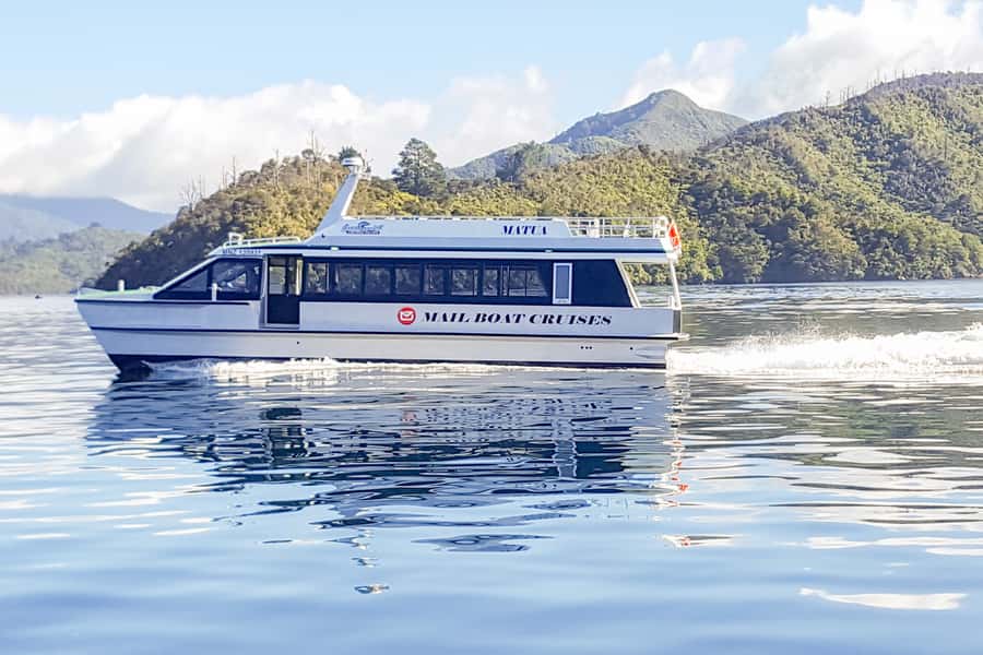 Queen Charlotte Track: Cruise & Self-Guided Hike from Picton - What the track feels like underfoot