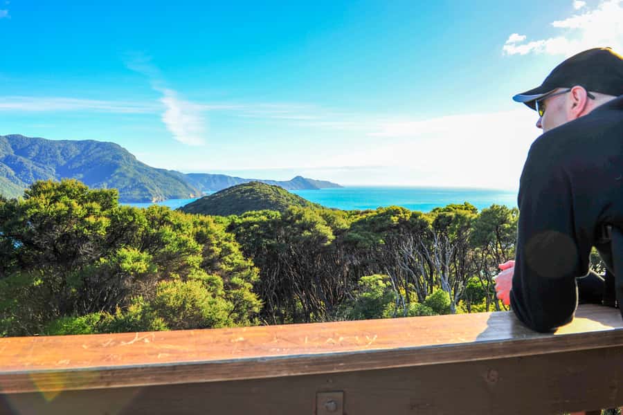 Queen Charlotte Track: Cruise & Self-Guided Hike from Picton - Price, timing, and cancellation