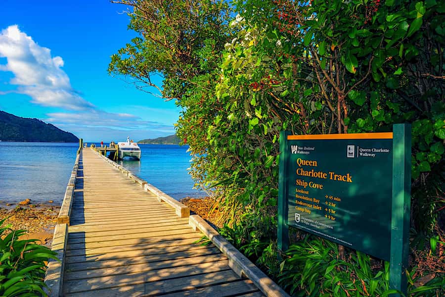Queen Charlotte Track: Cruise & Self-Guided Hike from Picton - Should you book the Queen Charlotte Track day trip?